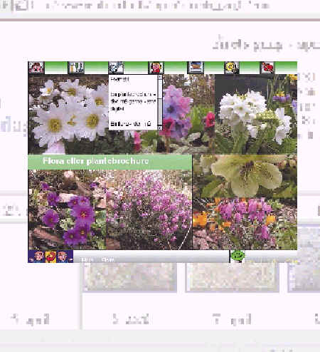[Billede: Skærmbillede fra Groundbreaker's Learning Mall. 6 forskellige typer blomster.