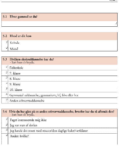 [Billede: Spørgsmål: "Hvor gammel er du?", "Hvad er di køn?", "Hvilken uddannelse har du?", "Hvis du har gået på en anden erhvervsuddannelse, hvorfor har du så afbrudt den?"]