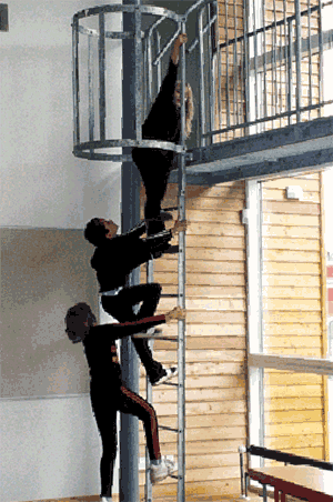 [Billede: Elever som kravler op ad en stige.[