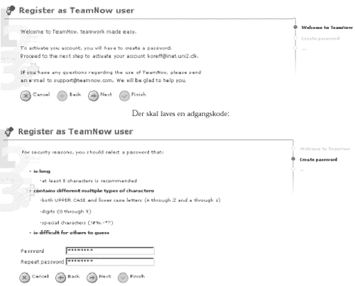 [Billede: Her ses et skærmbillede af siden, hvor de sidste formaliteter til oprettelse af det nye projekt finder sted.]