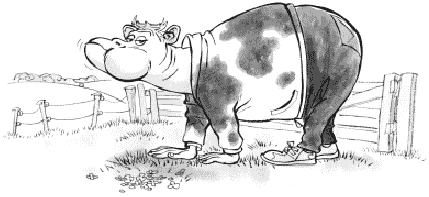 [Billede: Her ses en tegning af en ko iført tøj, som tygger drøv.]