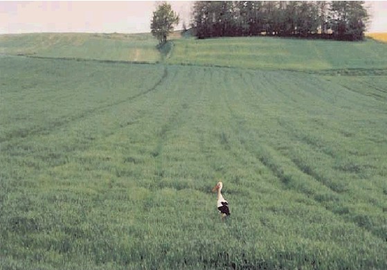 Sustainable development? At least the white stork can still be observed in Polish fields