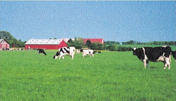Farmland dominates the Danish landscape