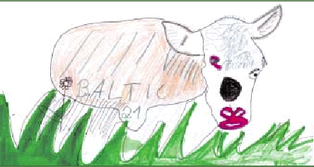 Drawing of a cow by Benjamin Mühlichen, Germany