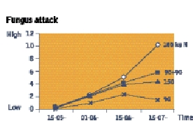 Fig 3.4: Relationship between fungus attacks on wheat and the amount of fertiliser (kg N)