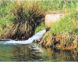 Drainage water from farmland contains nitrogen, phosphorous and pesticides