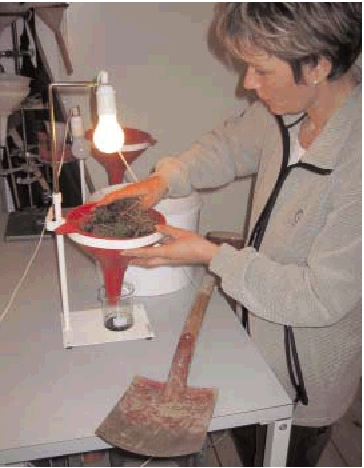 A soil sample from the topsoil is placed in the funnel.