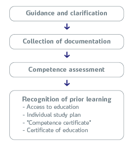 The figure illustrates the process of making a competence assessment