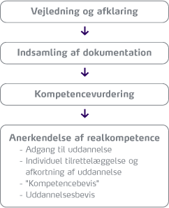 Processen i forbindelse med en kompetencevurdering: