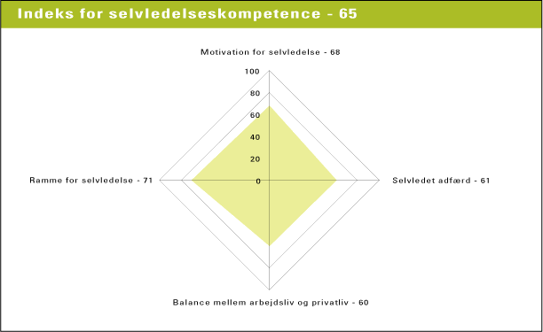 Figur 10.2 Danskernes kompetenceindeks på selvledelseskompetence. Kompetenceindekset er gennemsnittet af indikatorernes indeks N=5528 (kilde: NKR 2004)