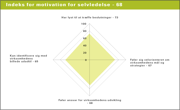 Figur 10.8 Indeks for motivation for selvledelse fordelt på spørgsmål. N = 4006 v/spørgsmål 143, 144, 145 og 146 (kilde: NKR 2004)